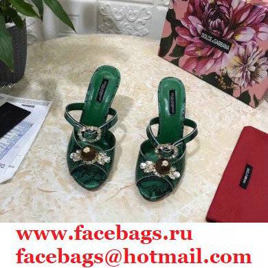 Dolce  &  Gabbana Crystal Heel 10.5cm Python Mules Green 2021